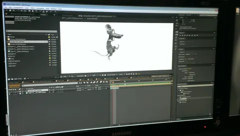 Midnight Delight — Saumin Mehta making the animated opening — the fable taking shape